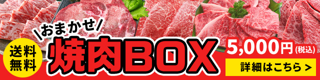 【送料無料】おまかせ焼肉BOX 29日 肉の日 限定